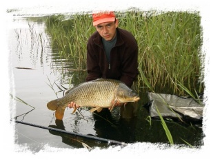 Schuppenkarpfen aus 100 m Entfernung