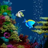 MobiFish 1.0